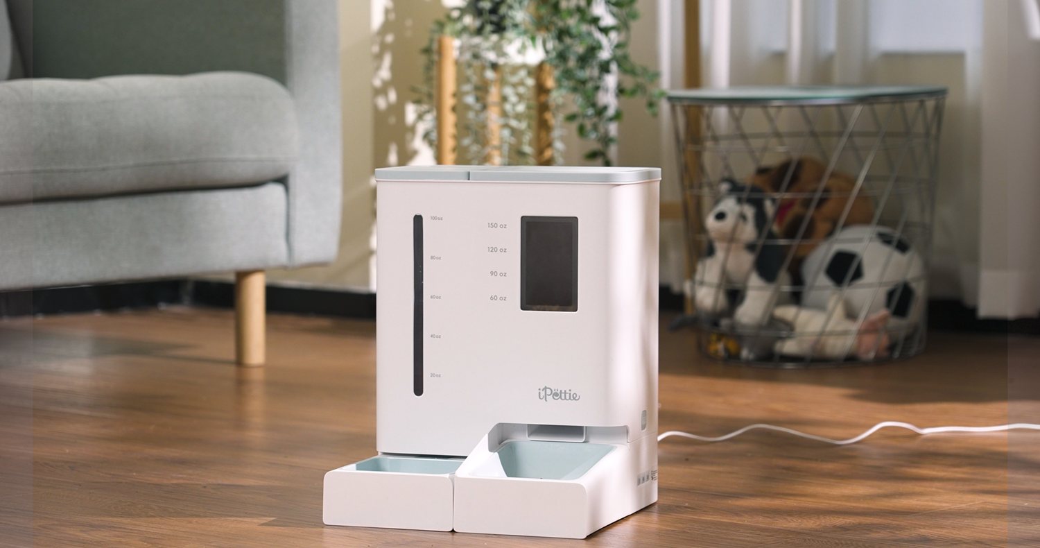 Amazon.com : iPettie FW54 5G/2.4GHz WiFi Automatic Feeder and